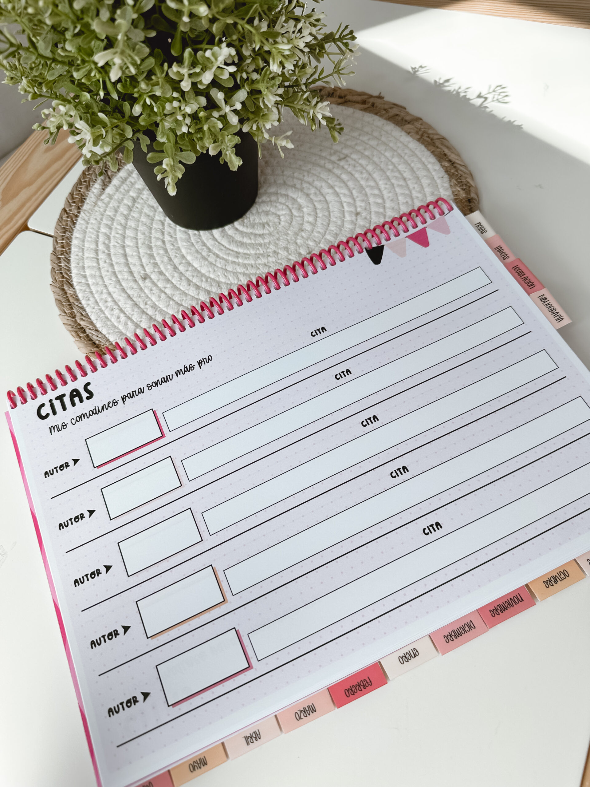 Opoplanner - Teach & Glow - Imagen 10