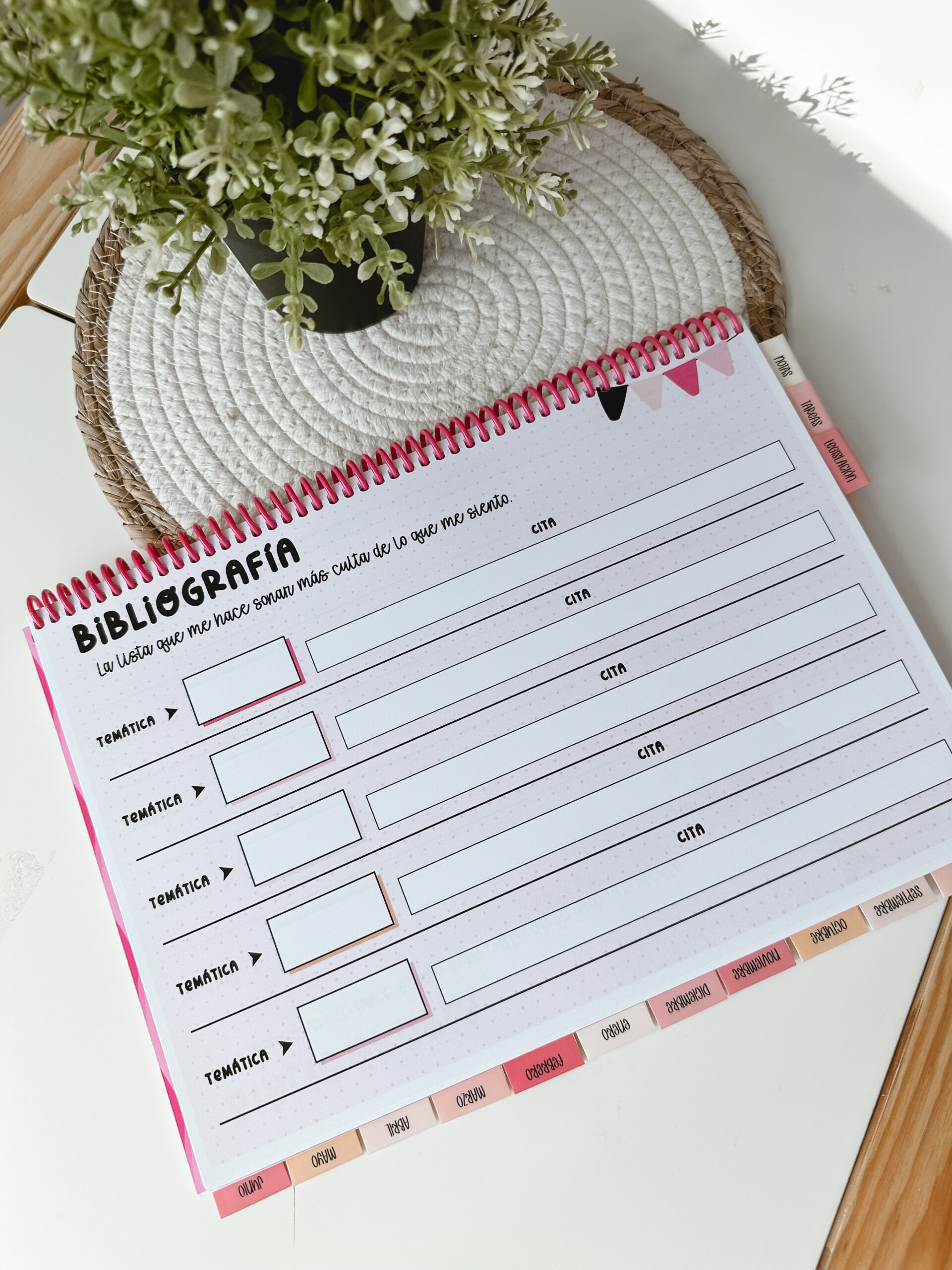 Opoplanner - Teach & Glow - Imagen 11