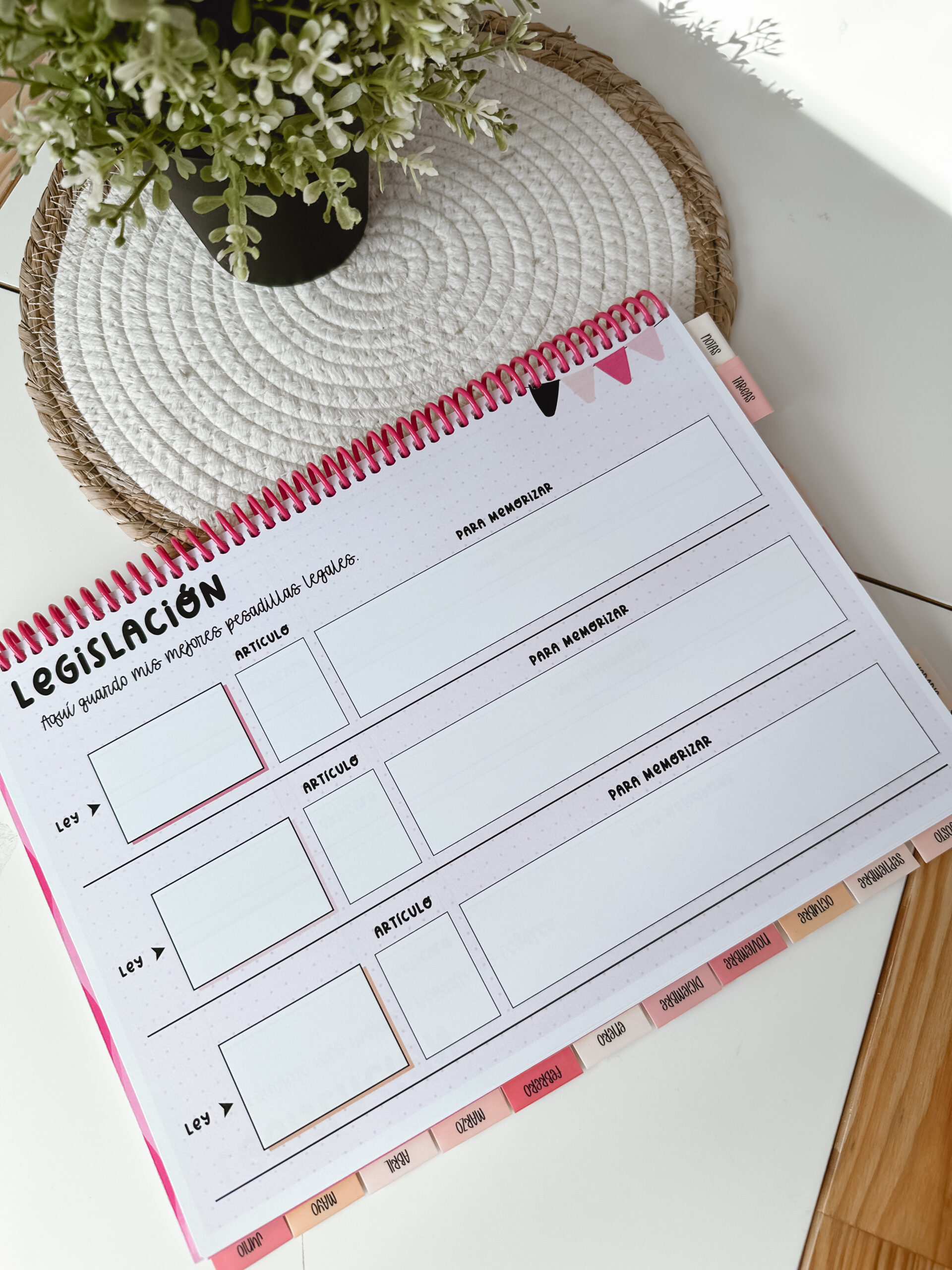 Opoplanner - Teach & Glow - Imagen 12