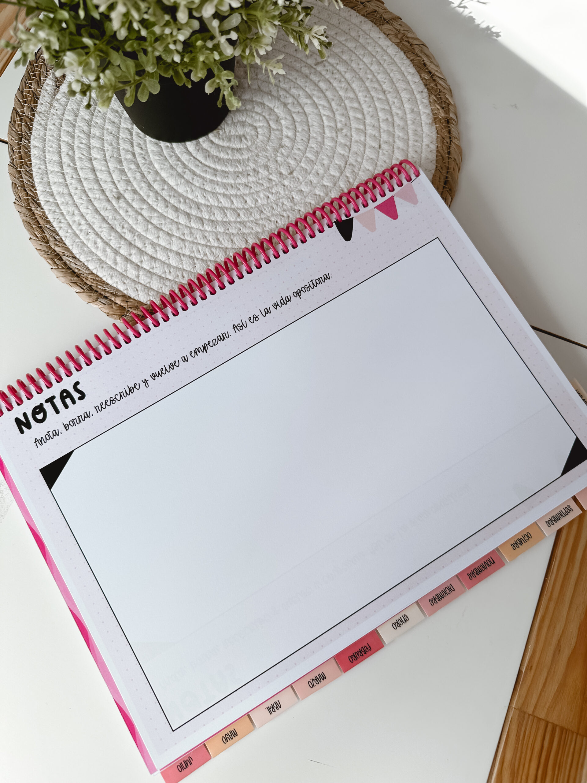 Opoplanner - Teach & Glow - Imagen 14