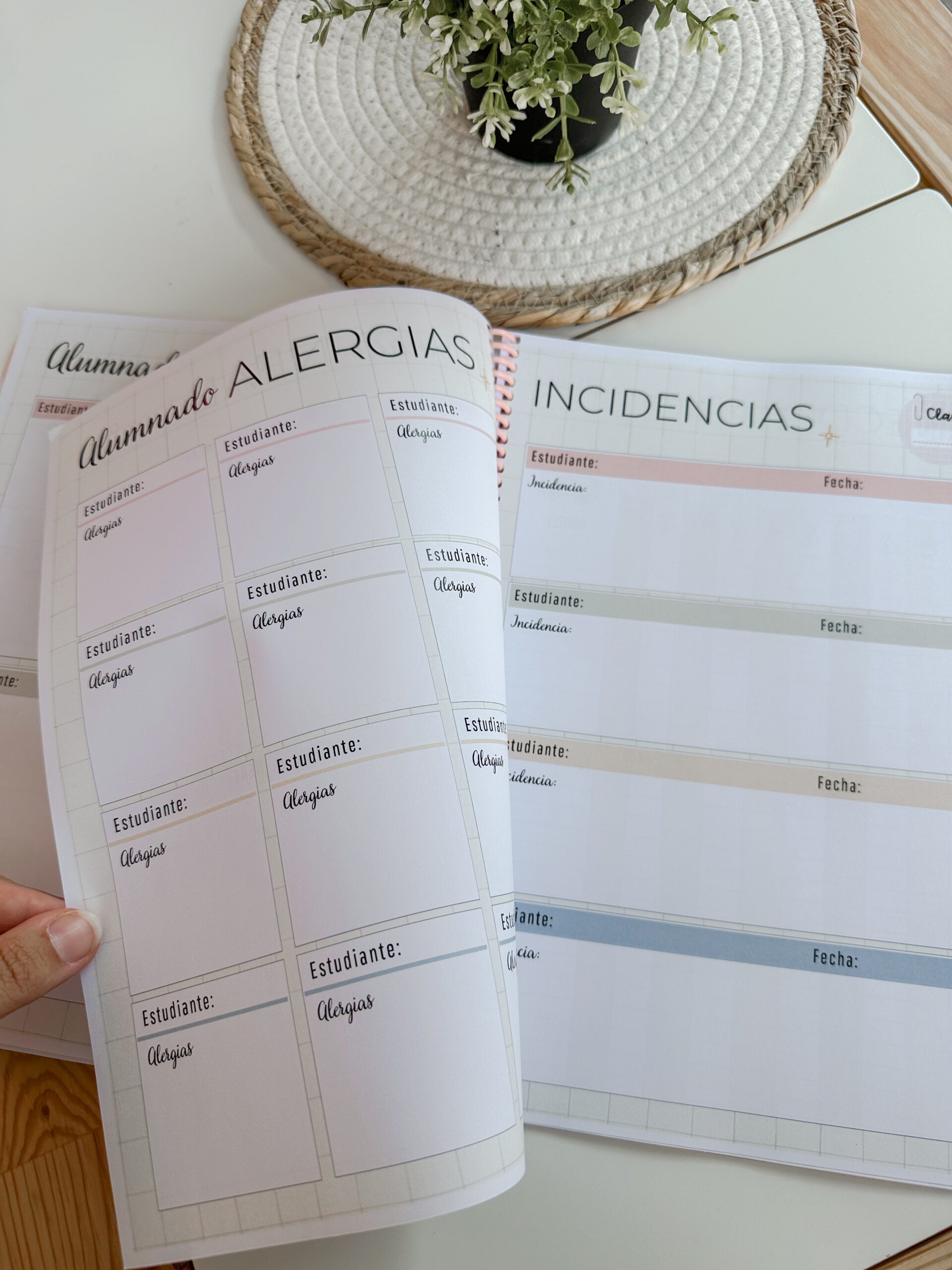 Cuaderno docente - Teach in bloom (2026-27) - Imagen 17