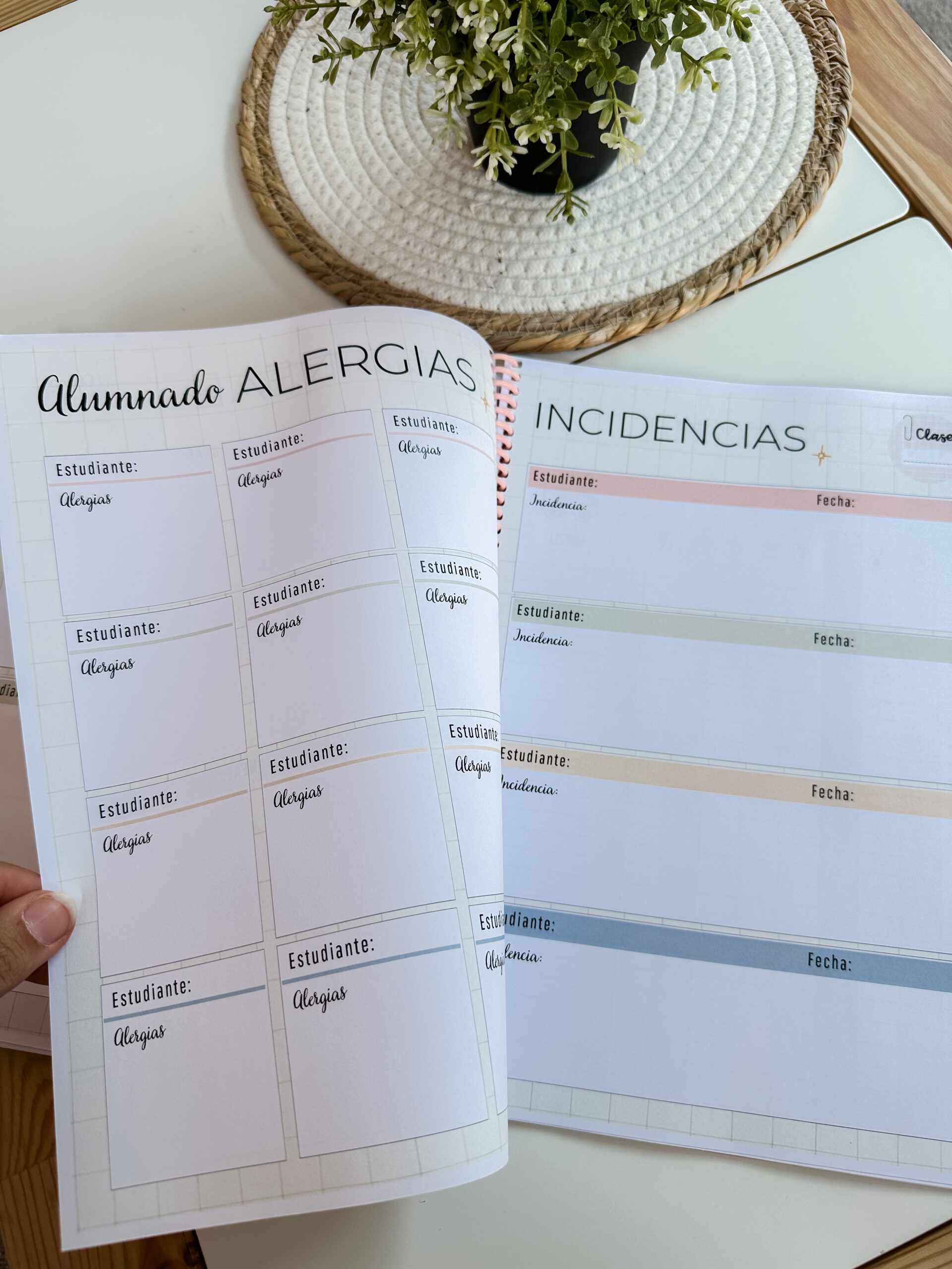 Cuaderno docente - Teach in bloom (2026-27) - Imagen 18