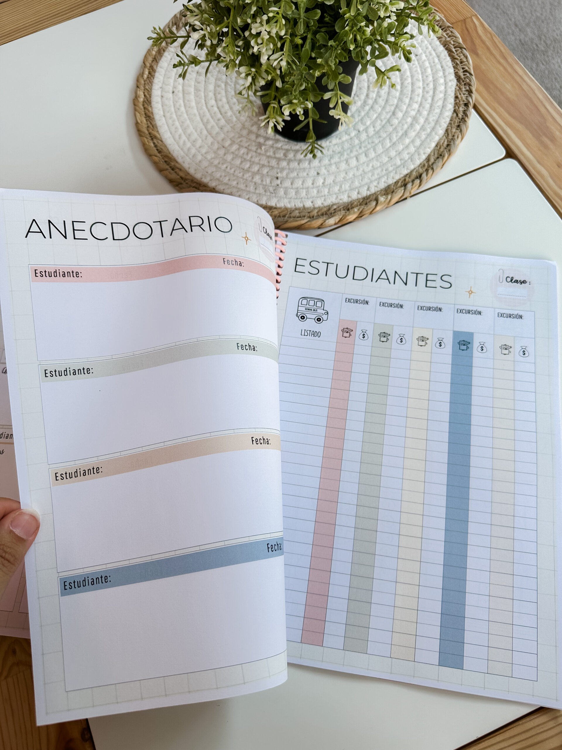 Cuaderno docente - Teach in bloom (2026-27) - Imagen 19