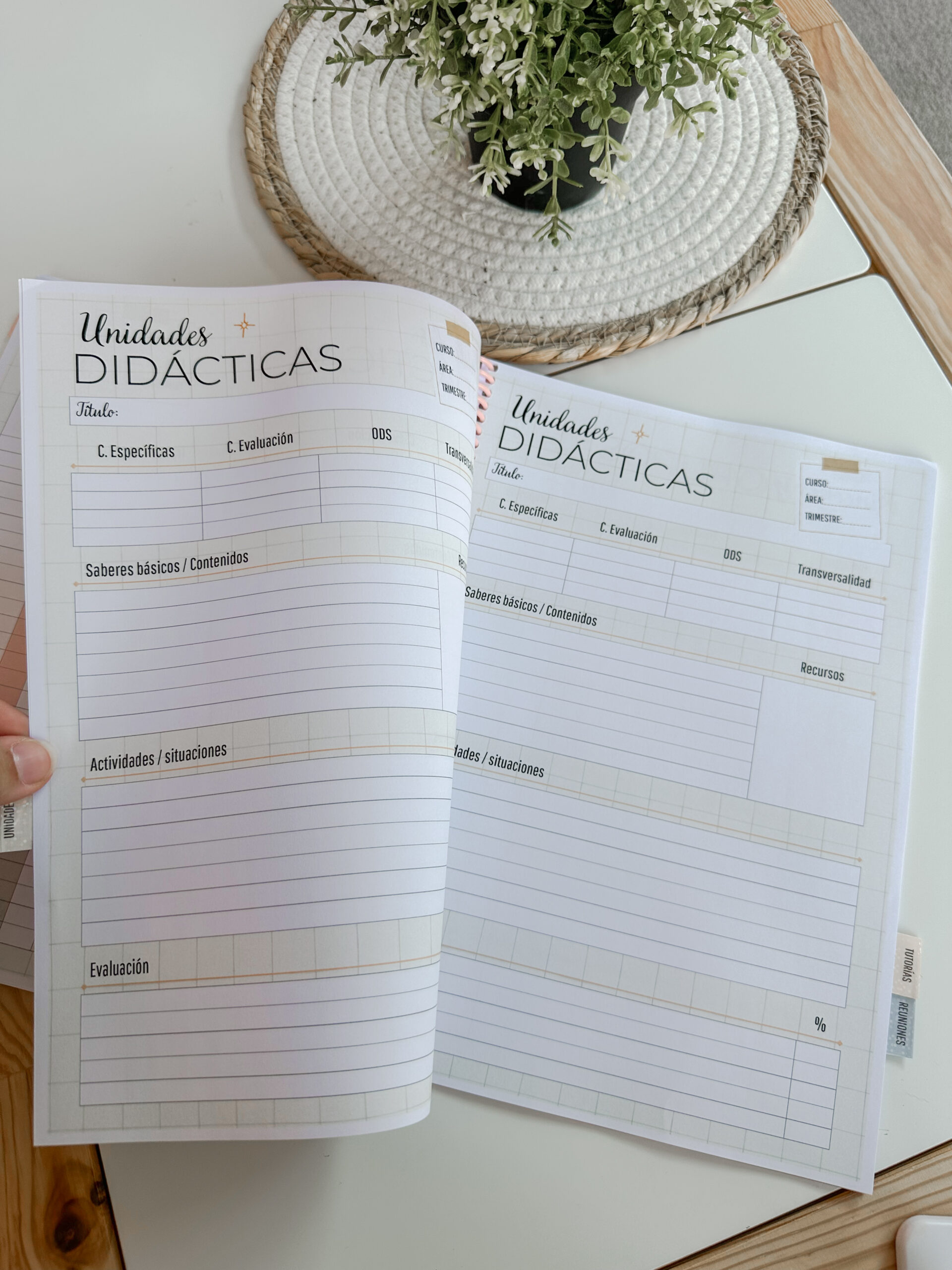 Cuaderno docente - Teach in bloom (2026-27) - Imagen 21