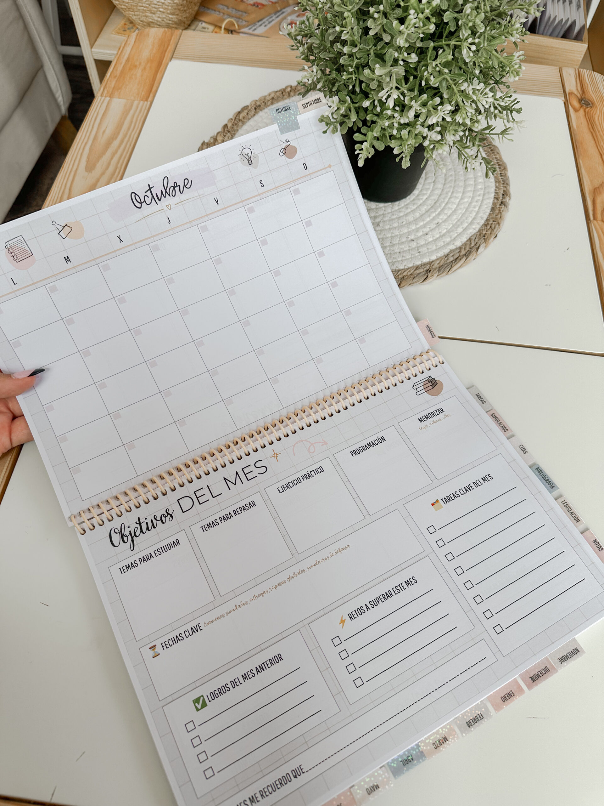 OpoPlanner - Teach in Bloom - Imagen 11