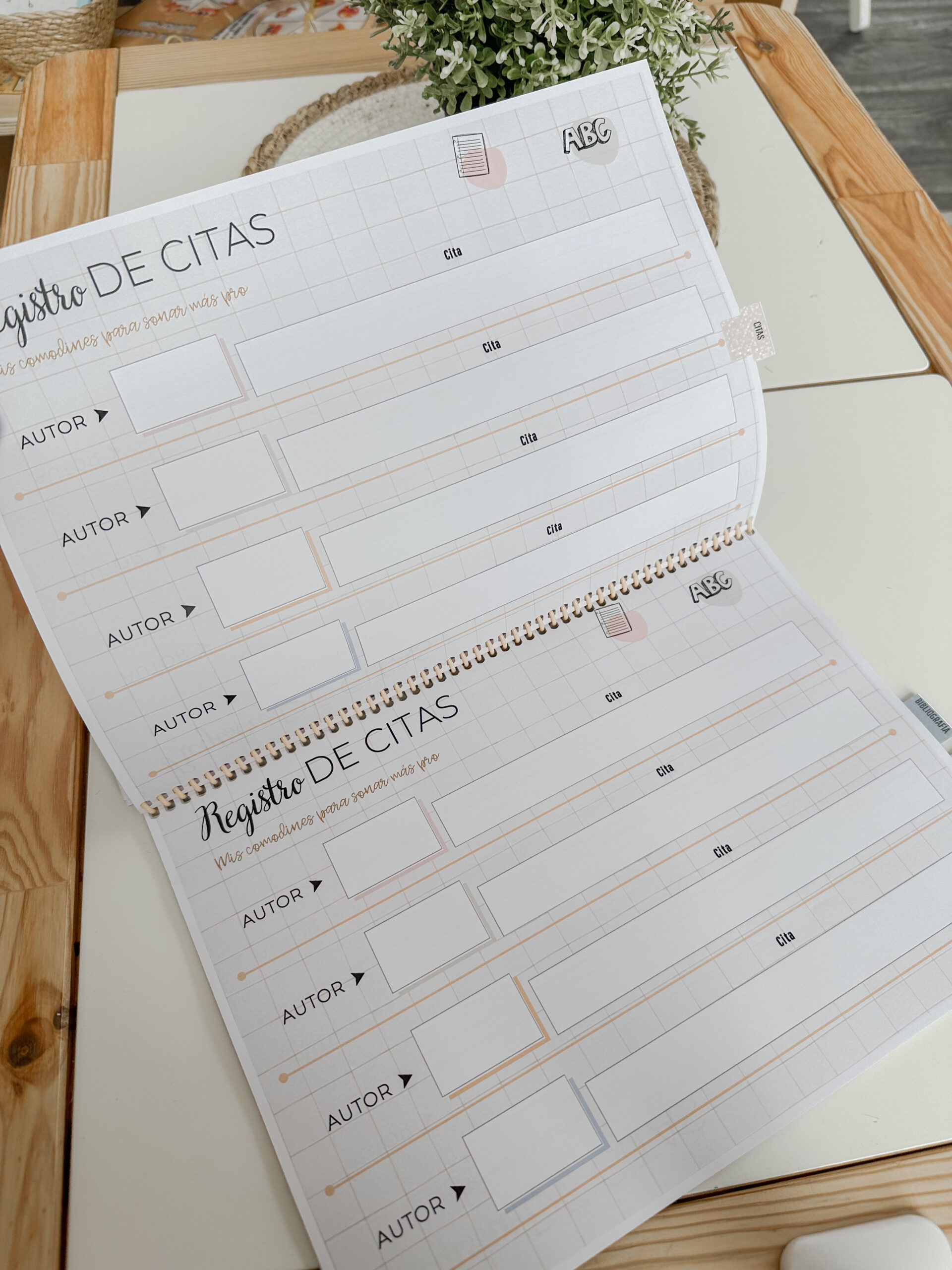 OpoPlanner - Teach in Bloom - Imagen 6