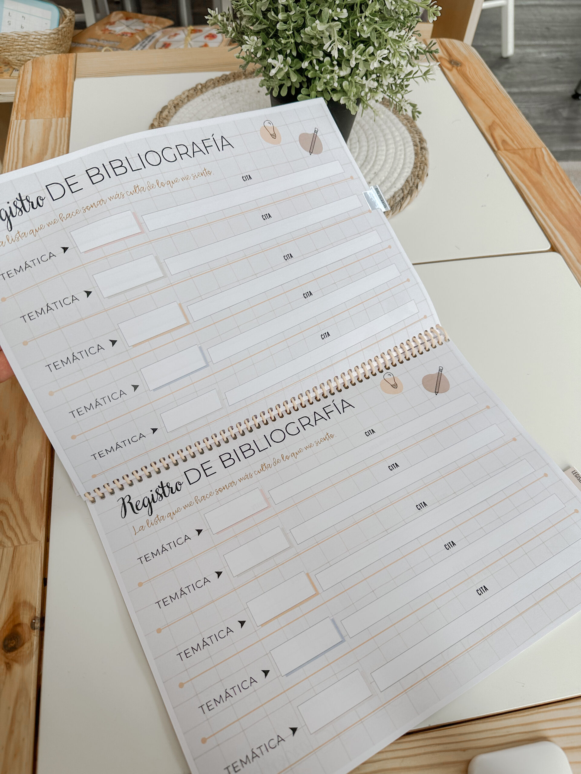 OpoPlanner - Teach in Bloom - Imagen 5