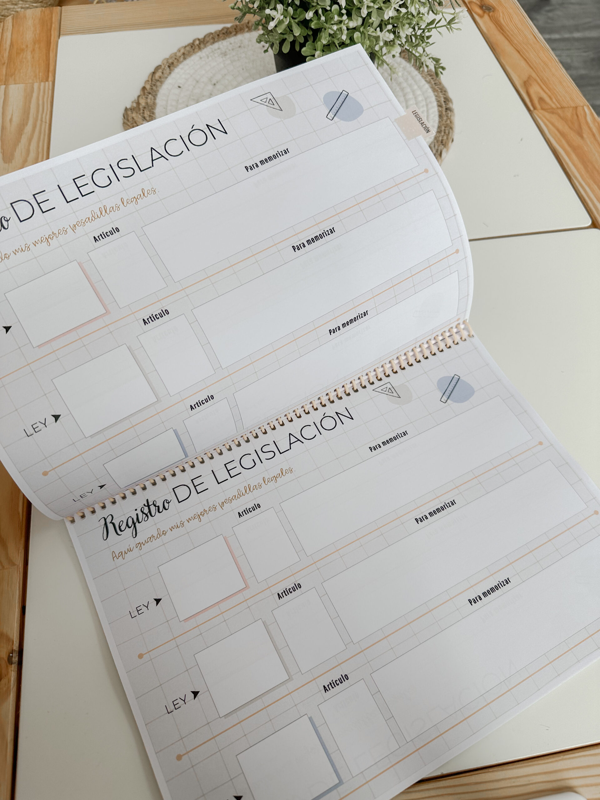 OpoPlanner - Teach in Bloom - Imagen 4